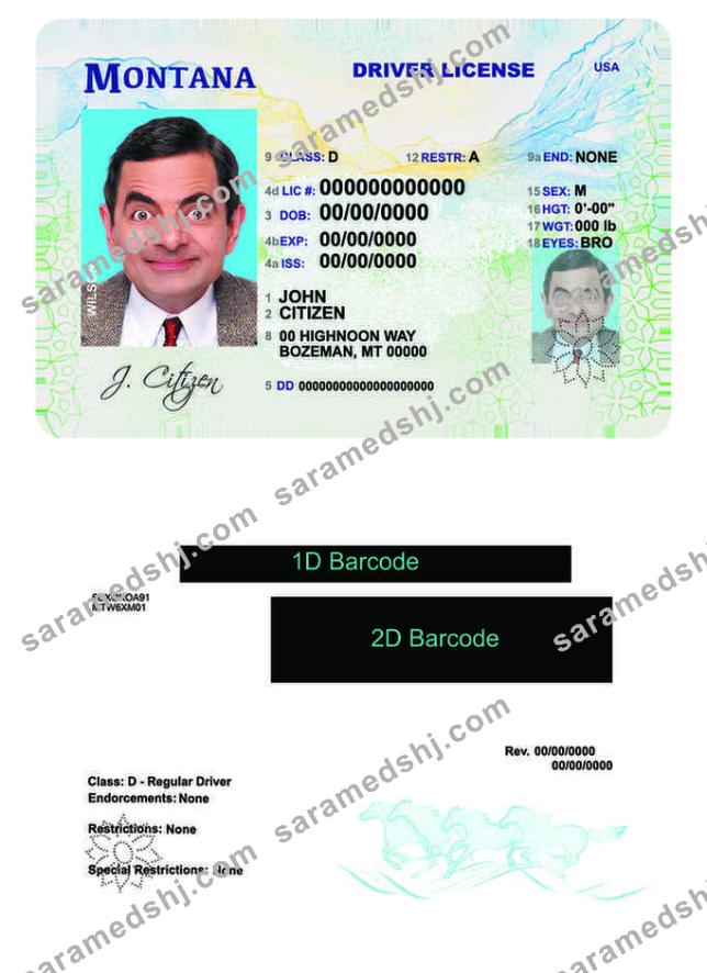 USA Montana driving license